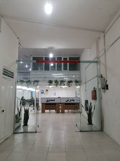کیمیا طب