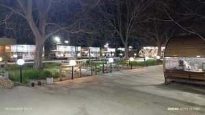 کافه باغ بهشت پنهان شیراز