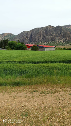 شرکت تولید مواد غذایی طراوت فارس