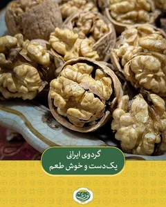 تخمه داغ و آجیلی حمیدی 2