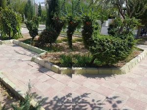 پارک محلی