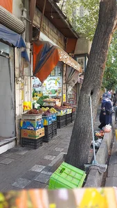میوه و تره بار شیخ هادی