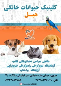 کلینیک دامپزشکی هیل 3