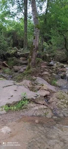 روستای حسن سرا رامسر