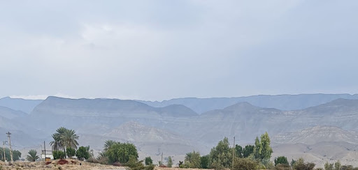 Ahmad Garden