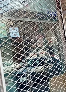 کیف چوبدار 2