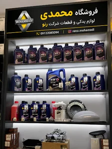 رنو محمدی