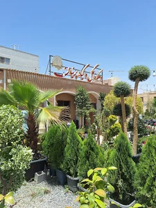 دهکده گل و گیاه پرنیان
