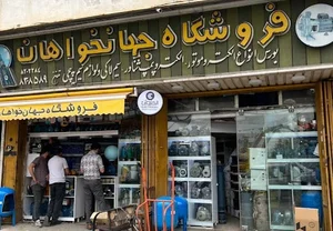 فروشگاه وحيد جهانخواهان