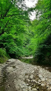 تنگه همیشکّر