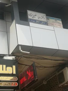 دکتر رویا خلیلی مبرهن 2