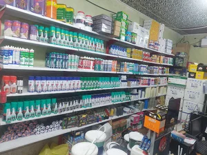 هایپر چسب چترایی