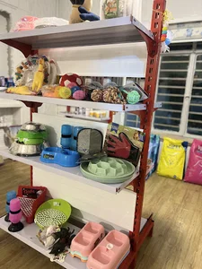 کلینیک دامپزشکی هیل