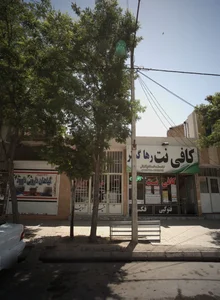 گیاهان دارویی داوود 2