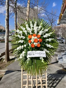 گلفروشی گلستان سونای 3