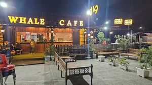 cafe whale qeshm.وال کافه