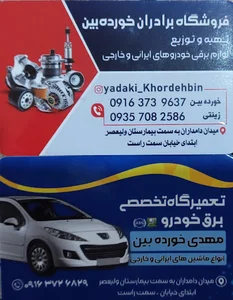 فروشگاه لوازم یدکی برقی خودرو خورده بین