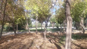 بوستان شهربانو بروجرد