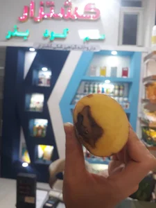 شهر ماشین