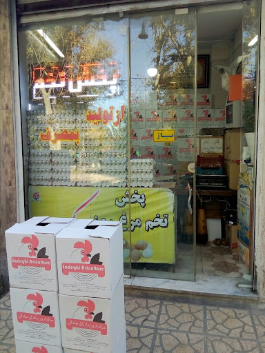عمده فروشی تخم مرغ برادران افشاری