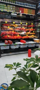 فرآورده های گوشتی باتیس 3