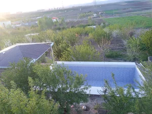 نیک پی