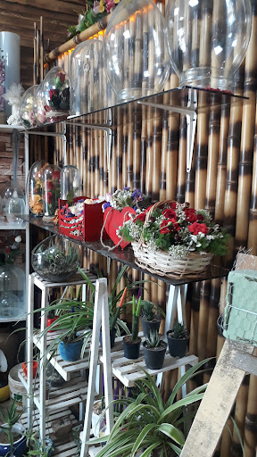 گل فروشی گل پونه