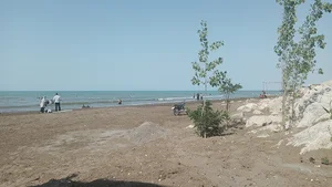 سویت