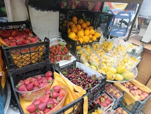 میوه سرای ابوالفضل 4