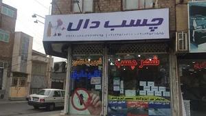 چسب دال