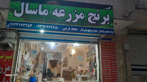 برنج مزرعه ماسال