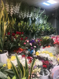 گل فروشی پامچال 4
