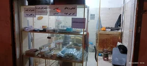 تعمیرات کفش و کیف سید 2