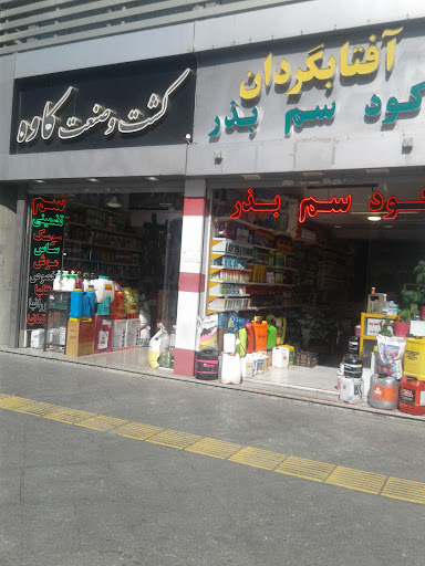 آفتابگردان