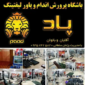 باشگاه پاد