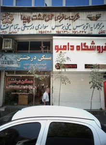 مسکن درخشش