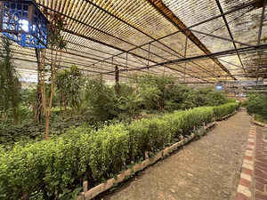 باغ پروانه‌ها (باغ گیاه شناسی)