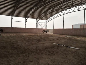 مجموعه سوارکاری رفیعی