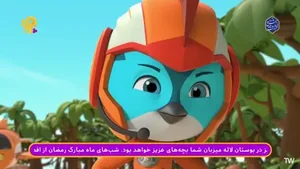 ساحل كايت بوردينگ بندرعباس