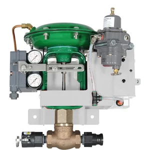 پترو تایگا