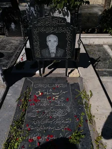 آرامگاه خانوادگی شاه سنی