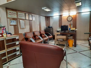 Pelak real estate agency