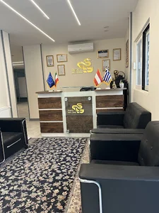 هلدینگ مهاجرتی دیاکو