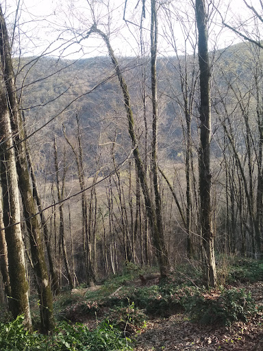 چشمه اول نهارخوران