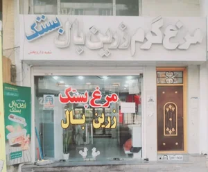مرغ گرم زرین بال بستک