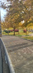 بوستان ولیعصر 5