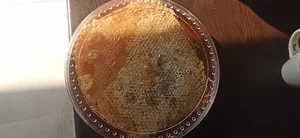 مزرعه عسل