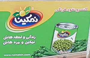 شرکت کشت و صنعت تیون دشت (نمکین)