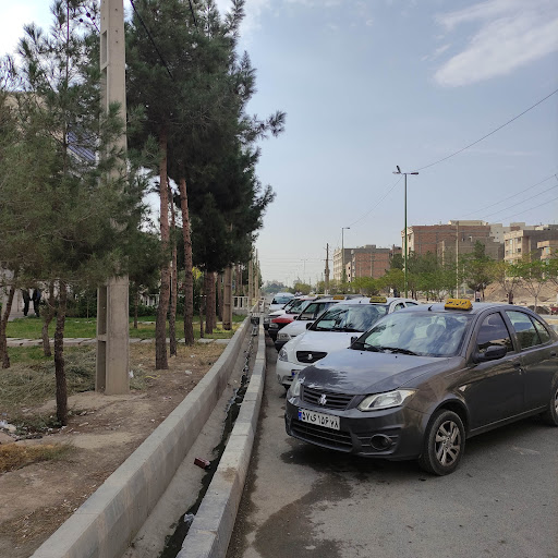 رضا سیفی فرد