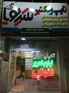 نشر پویا